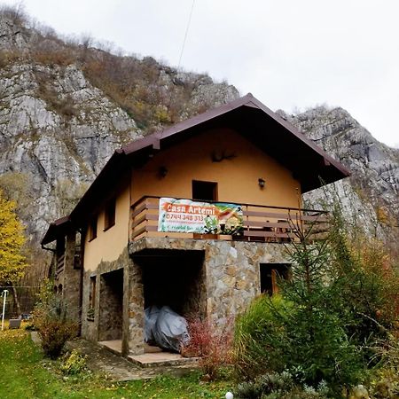 Hotel Casa Artemi Remeţi Exterior foto