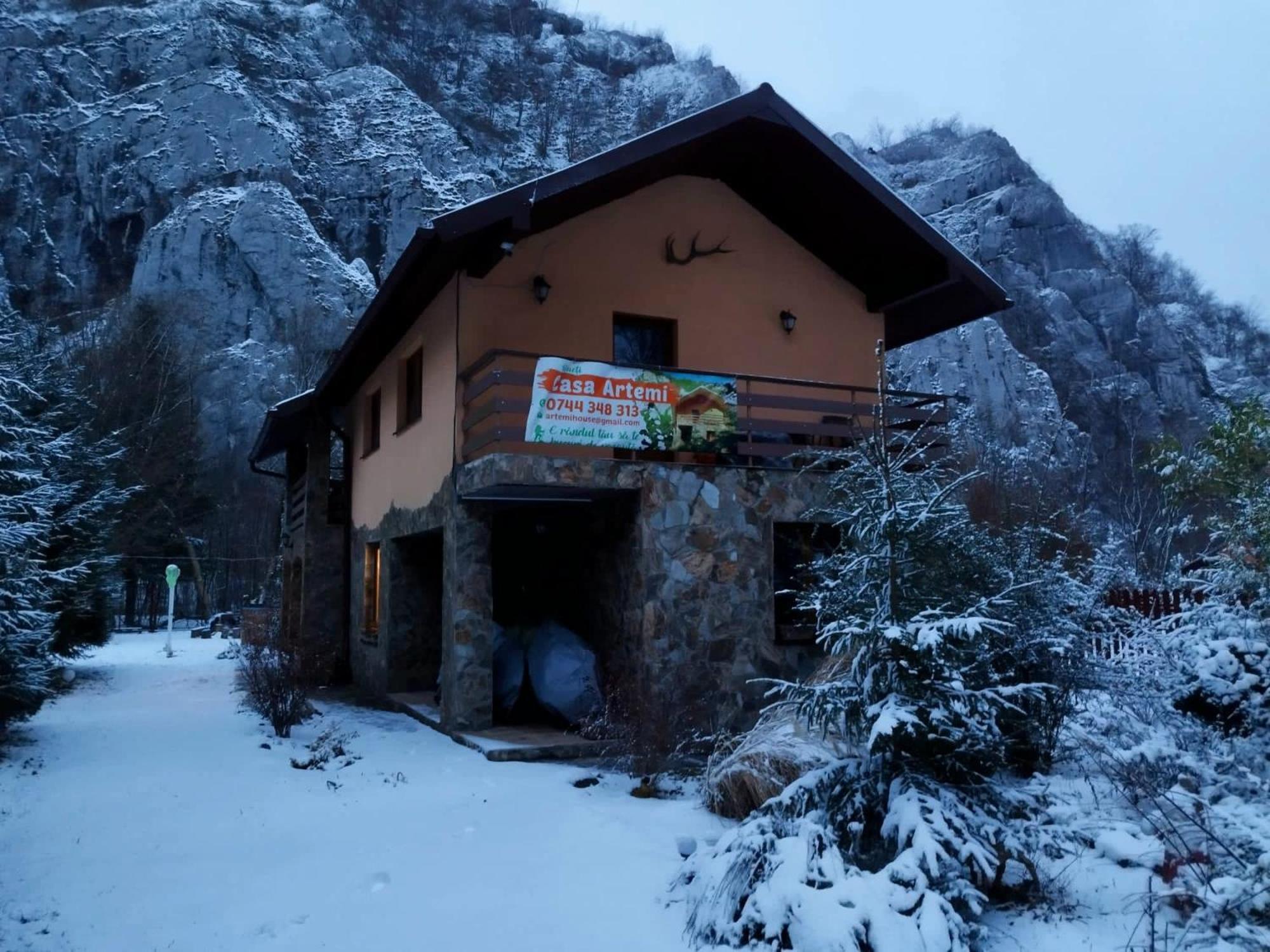 Hotel Casa Artemi Remeţi Exterior foto