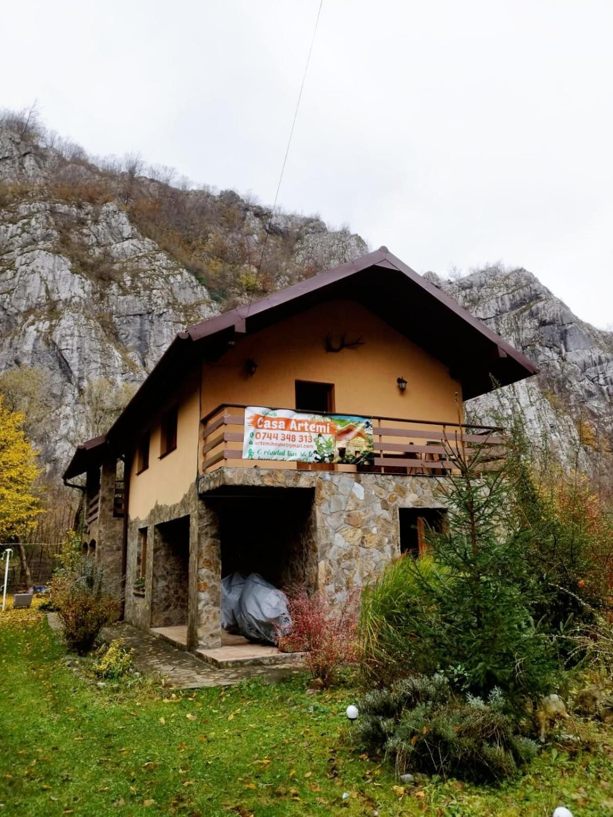 Hotel Casa Artemi Remeţi Exterior foto